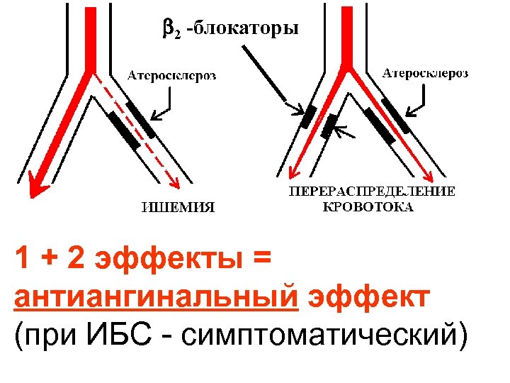  2 -блокаторы 1 + 2 эффекты = антиангинальный эффект (при ИБС - симптоматический)