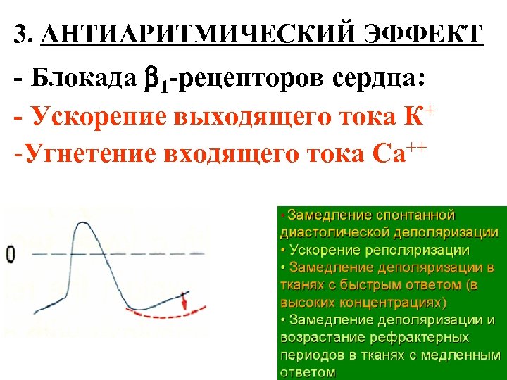 3. АНТИАРИТМИЧЕСКИЙ ЭФФЕКТ - Блокада 1 -рецепторов сердца: - Ускорение выходящего тока К+ -Угнетение