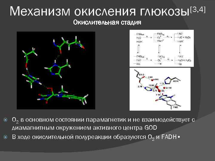 Механизм окисления глюкозы[3, 4] Окислительная стадия O 2 в основном состоянии парамагнетик и не