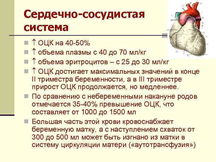 Сердечный измениться. Изменения сердечно-сосудистой системы во время беременности. Сердечно сосудистая система при беременности. Сердечно сосудистая система беременной женщины. Изменения в сердечно сосудистой системе беременной.