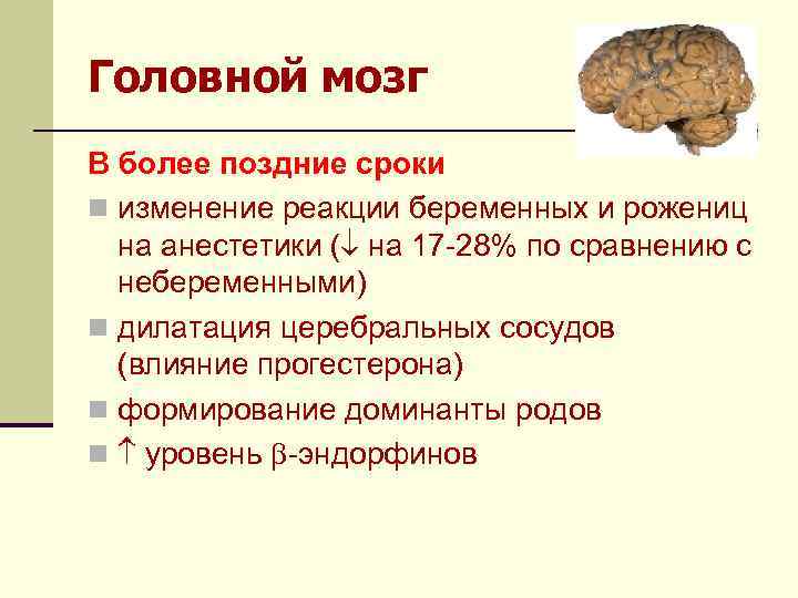 Головной мозг В более поздние сроки n изменение реакции беременных и рожениц на анестетики