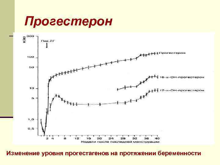 Прогестерон при беременности