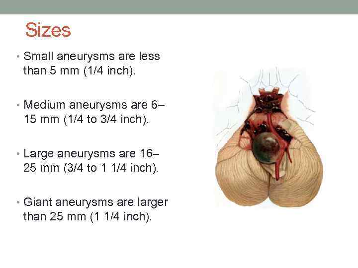 Sizes • Small aneurysms are less than 5 mm (1/4 inch). • Medium aneurysms