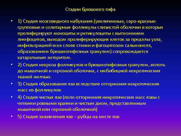 Стадии брюшного тифа • 1) Стадия мозговидного набухания (увеличенные, серо-красные групповые и солитарные фолликулы