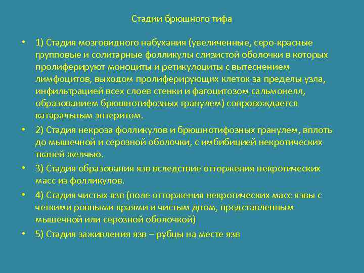 Стадии брюшного тифа • 1) Стадия мозговидного набухания (увеличенные, серо-красные групповые и солитарные фолликулы