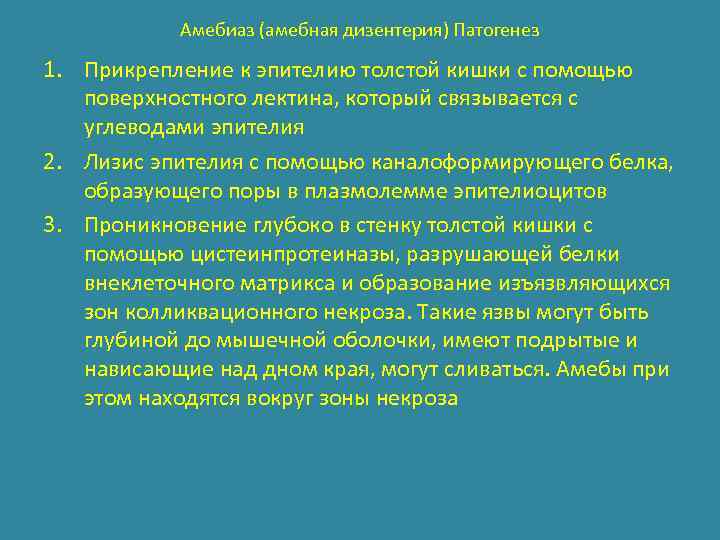 Амебиаз (амебная дизентерия) Патогенез 1. Прикрепление к эпителию толстой кишки с помощью поверхностного лектина,