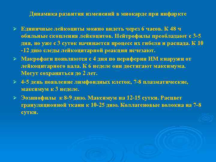 Динамика развития изменений в миокарде при инфаркте Единичные лейкоциты можно видеть через 6 часов.
