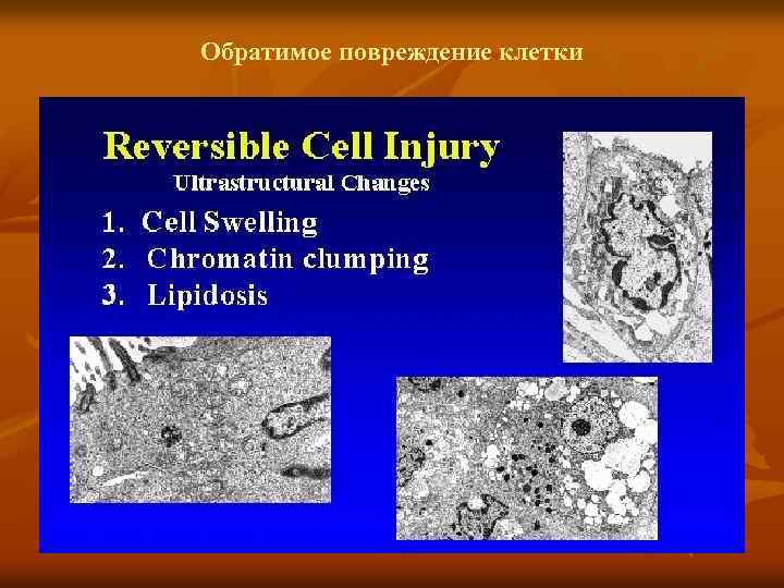 Обратимое повреждение клетки 