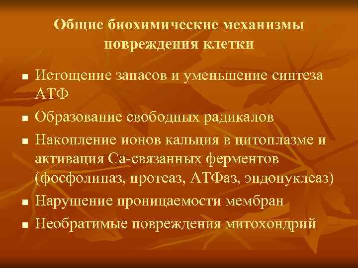 Общие биохимические механизмы повреждения клетки n n n Истощение запасов и уменьшение синтеза АТФ
