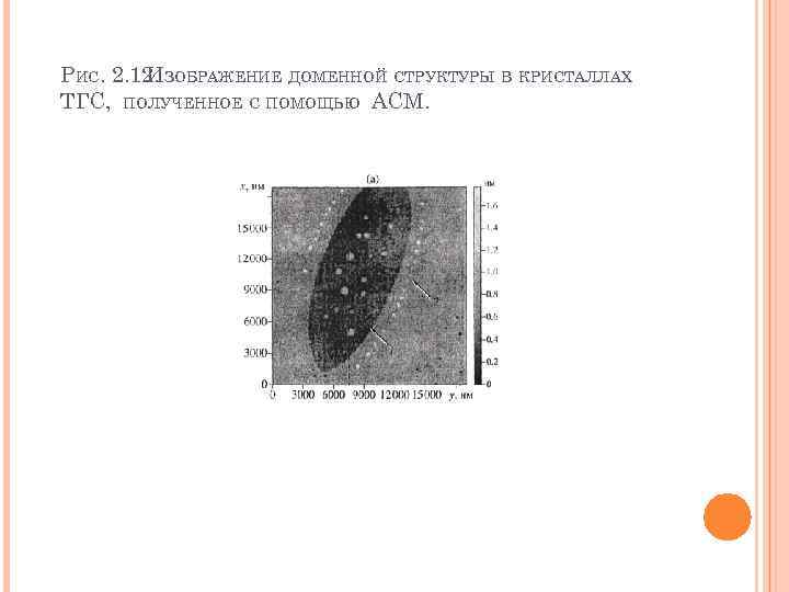 РИС. 2. 12. ЗОБРАЖЕНИЕ ДОМЕННОЙ СТРУКТУРЫ В КРИСТАЛЛАХ И ТГС, ПОЛУЧЕННОЕ С ПОМОЩЬЮ АСМ.