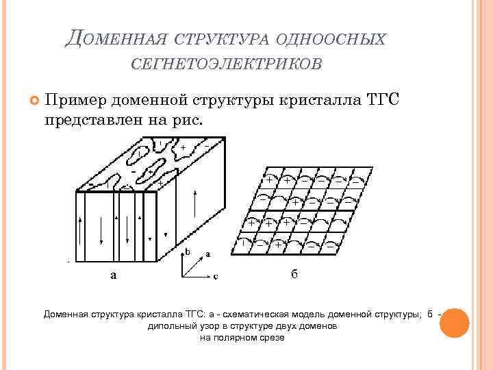 ДОМЕННАЯ СТРУКТУРА ОДНООСНЫХ СЕГНЕТОЭЛЕКТРИКОВ Пример доменной структуры кристалла ТГС представлен на рис. Доменная структура