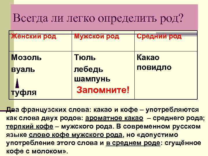 Всегда ли легко определить род? Женский род Мужской род Средний род Мозоль вуаль Тюль