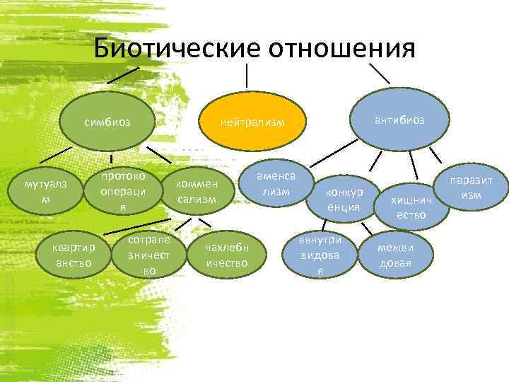 Презентация по биологии 9 класс биотические связи в природе