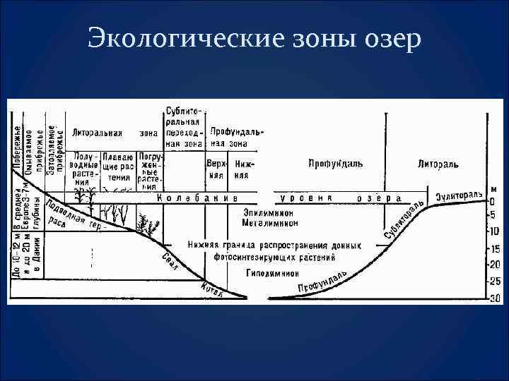 Экологические зоны озер 
