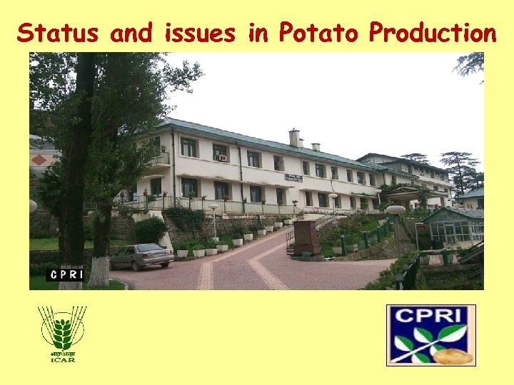 Status and issues in Potato Production 