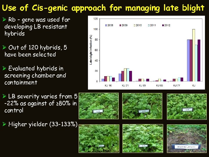 Use of Cis-genic approach for managing late blight Ø Rb – gene was used