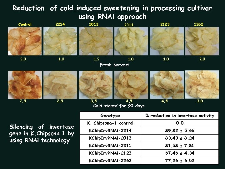 Reduction of cold induced sweetening in processing cultivar using RNAi approach Control 2214 5.