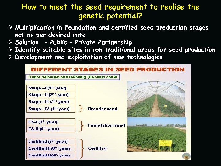 How to meet the seed requirement to realise the genetic potential? Ø Multiplication in