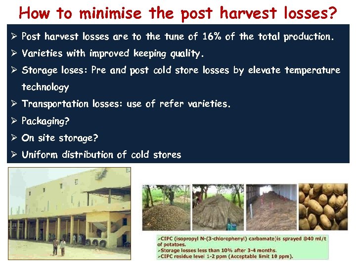 How to minimise the post harvest losses? Ø Post harvest losses are to the