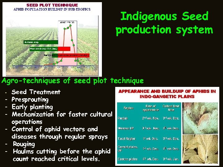 Indigenous Seed production system Agro-techniques of seed plot technique - Seed Treatment - Presprouting