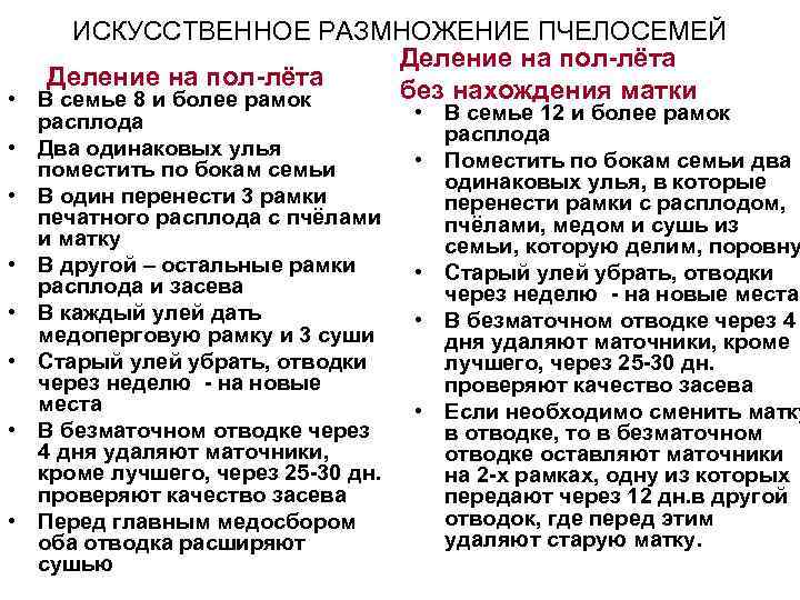 ИСКУССТВЕННОЕ РАЗМНОЖЕНИЕ ПЧЕЛОСЕМЕЙ Деление на пол-лёта без нахождения матки • В семье 8 и