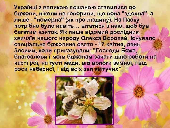 Українці з великою пошаною ставилися до бджоли, ніколи не говорили, що вона "здохла", а