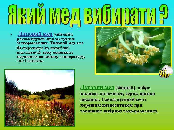  • Липовий мед (світлий): рекомендують при застудних захворюваннях. Липовий мед має бактерицидні та