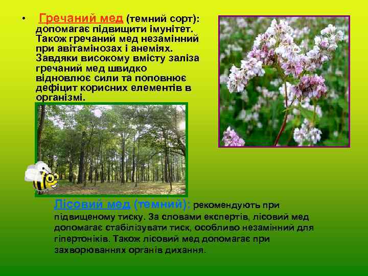  • Гречаний мед (темний сорт): допомагає підвищити імунітет. Також гречаний мед незамінний при