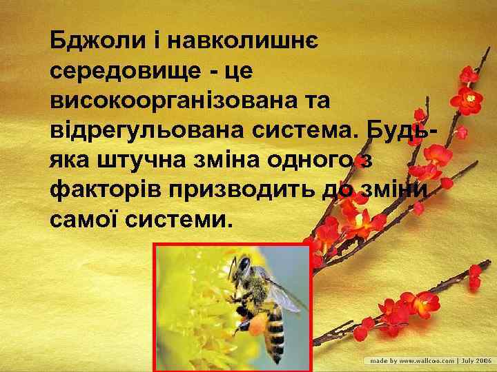 Бджоли і навколишнє середовище - це високоорганізована та відрегульована система. Будьяка штучна зміна одного