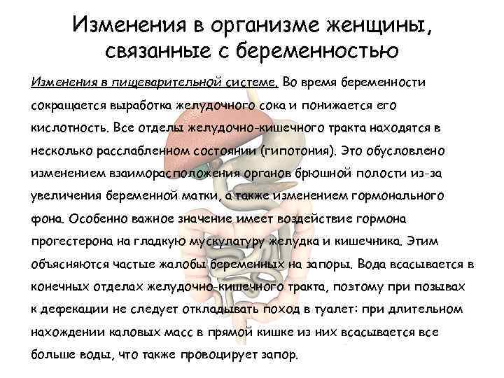 Изменения в организме женщины, связанные с беременностью Изменения в пищеварительной системе. Во время беременности