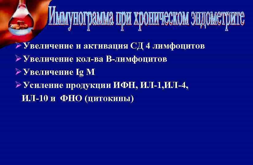 Ø Увеличение и активация СД 4 лимфоцитов Ø Увеличение кол-ва В-лимфоцитов Ø Увеличение Ig