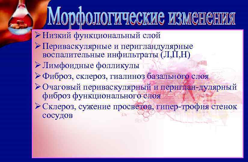 Ø Низкий функциональный слой Ø Периваскулярные и перигландулярные воспалительные инфильтраты (Л, П, Н) Ø
