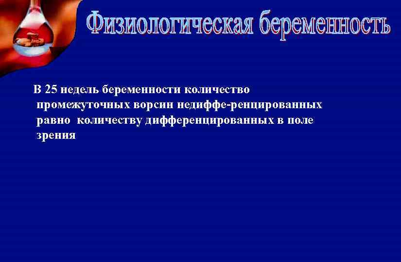 В 25 недель беременности количество промежуточных ворсин недиффе-ренцированных равно количеству дифференцированных в поле зрения