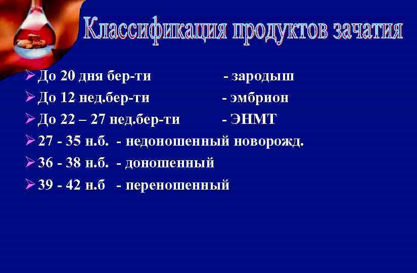 Ø До 20 дня бер-ти - зародыш Ø До 12 нед. бер-ти - эмбрион