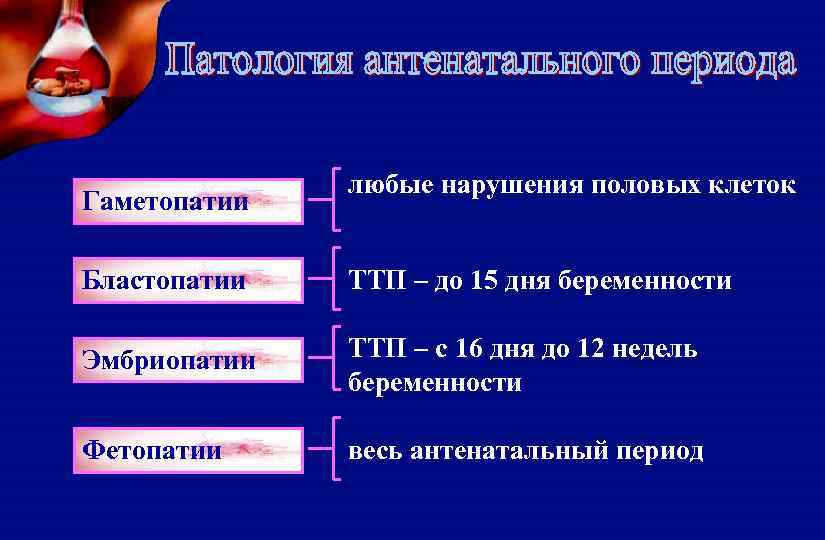 Гаметопатии любые нарушения половых клеток Бластопатии ТТП – до 15 дня беременности Эмбриопатии ТТП