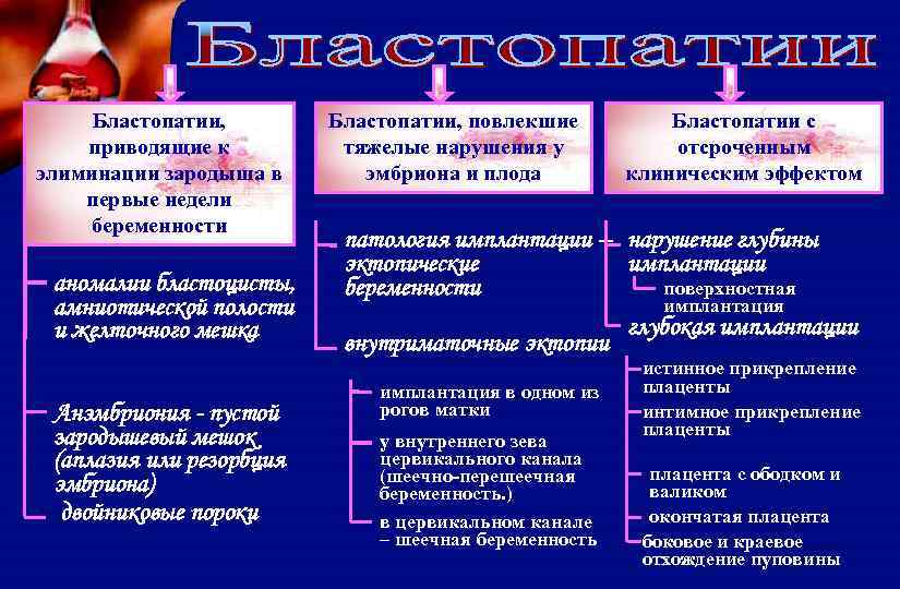 Бластопатии, приводящие к элиминации зародыша в первые недели беременности аномалии бластоцисты, амниотической полости и