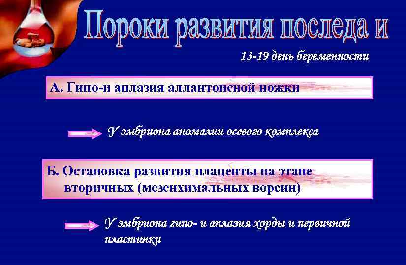 13 -19 день беременности А. Гипо-и аплазия аллантоисной ножки У эмбриона аномалии осевого комплекса