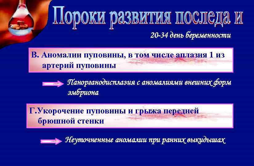 20 -34 день беременности В. Аномалии пуповины, в том числе аплазия 1 из артерий