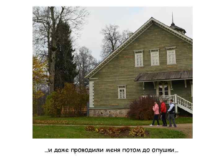 …и даже проводили меня потом до опушки… 