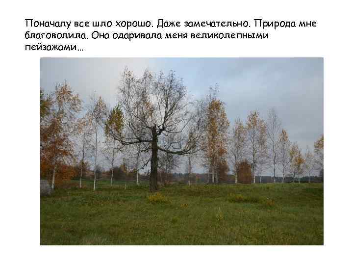 Поначалу все шло хорошо. Даже замечательно. Природа мне благоволила. Она одаривала меня великолепными пейзажами…