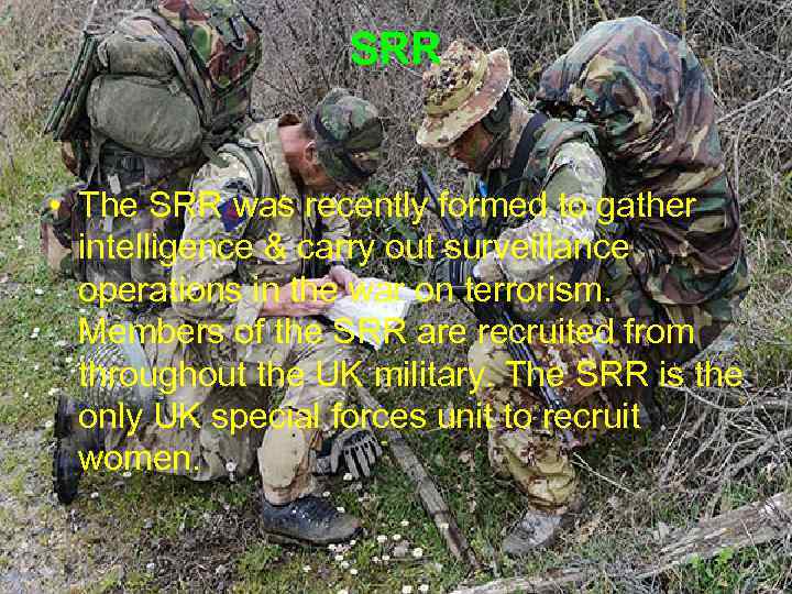 SRR • The SRR was recently formed to gather intelligence & carry out surveillance