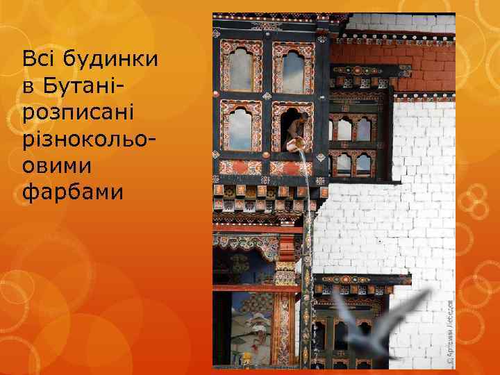 Всі будинки в Бутанірозписані різнокольоовими фарбами 