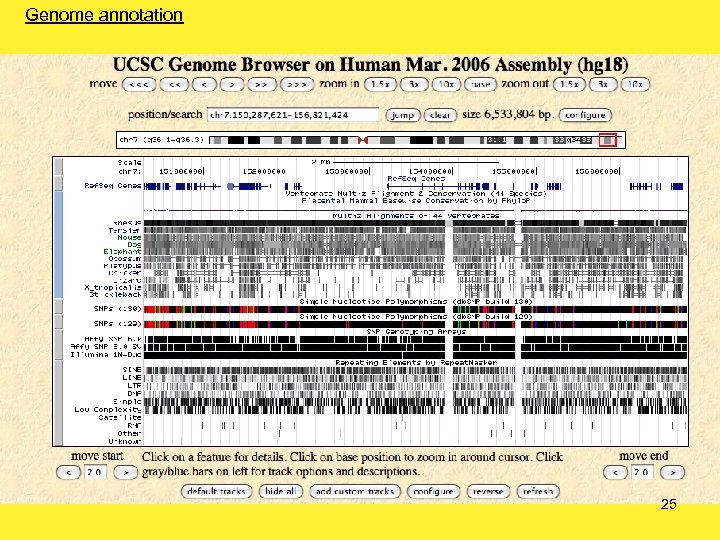 Genome annotation 25 
