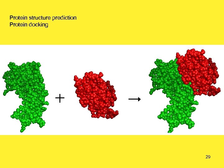 Protein structure prediction Protein docking 29 