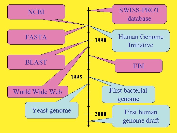 SWISS-PROT database NCBI FASTA 1990 BLAST Human Genome Initiative EBI 1995 First bacterial genome