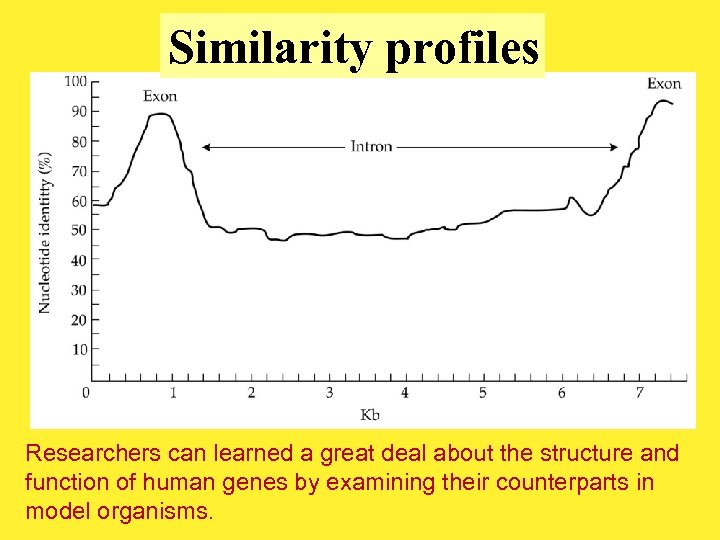 Similarity profiles Researchers can learned a great deal about the structure and function of