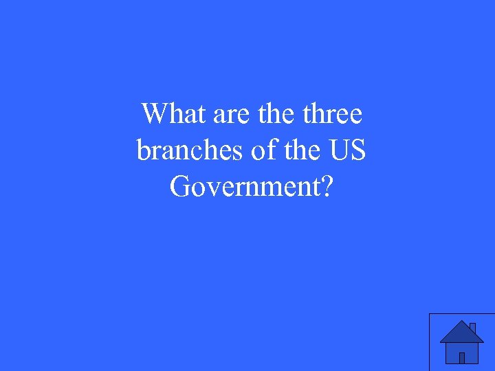 What are three branches of the US Government? 