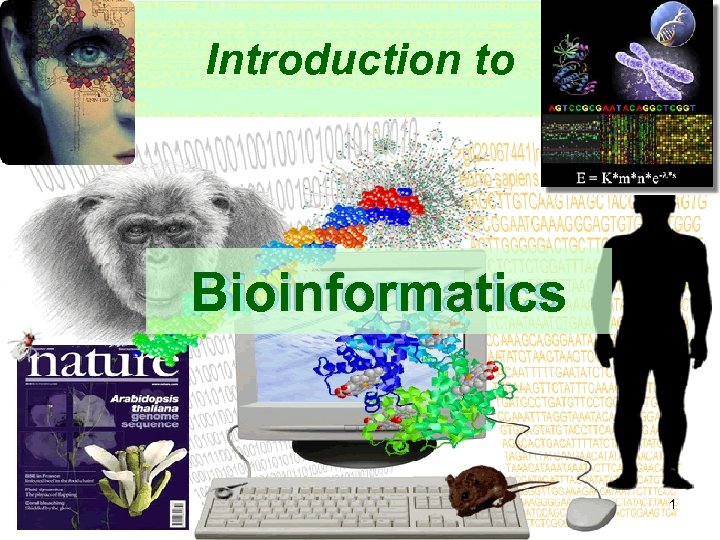 Introduction to Bioinformatics 1 