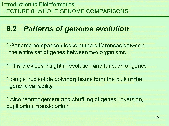 Introduction to Bioinformatics LECTURE 8: WHOLE GENOME COMPARISONS 8. 2 Patterns of genome evolution