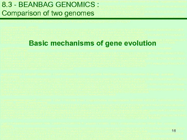 8. 3 - BEANBAG GENOMICS : Comparison of two genomes Basic mechanisms of gene